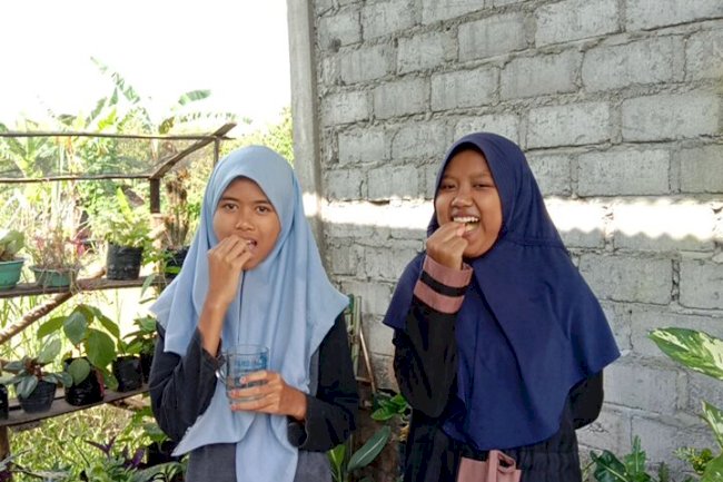 PEMBERIAN TABLET TAMBAH DARAH UNTUK REMAJA PUTRI 