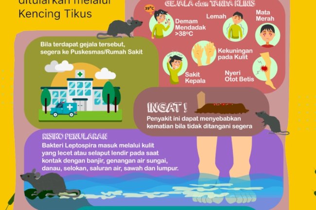 Kenali Leptospirosis: Ancaman dari Air Kotor dan Hewan Terkontaminasi